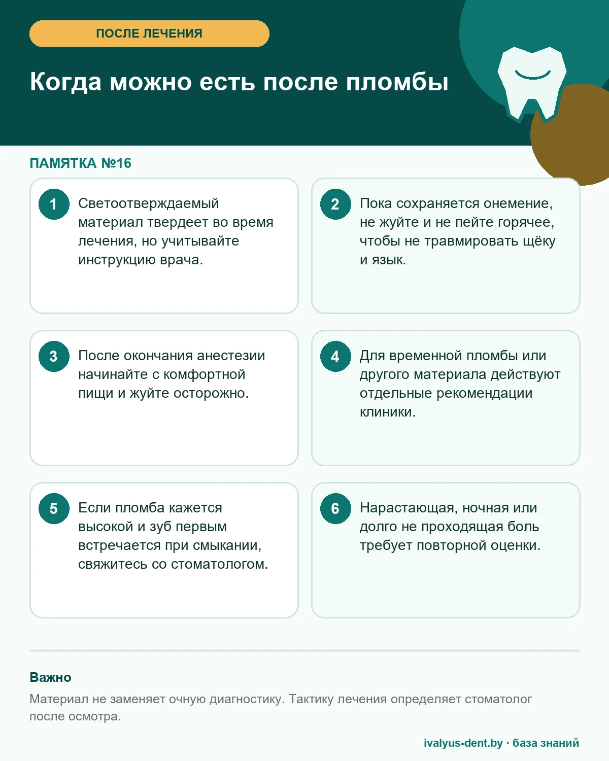 Когда можно есть после световой пломбы, анестезии и временного материала