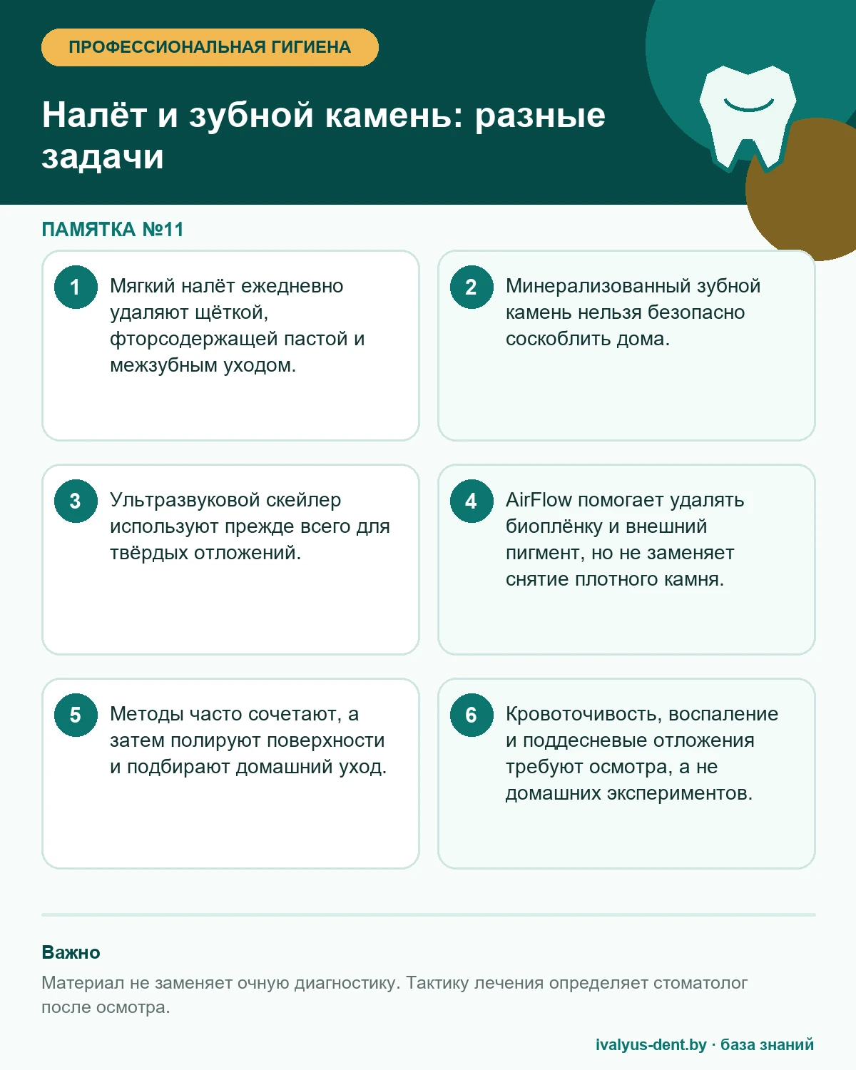Разница между мягким налётом и зубным камнем и безопасные способы их удаления